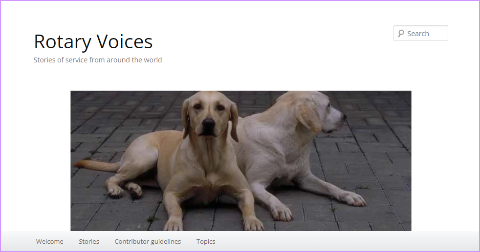 Paws for Thought: