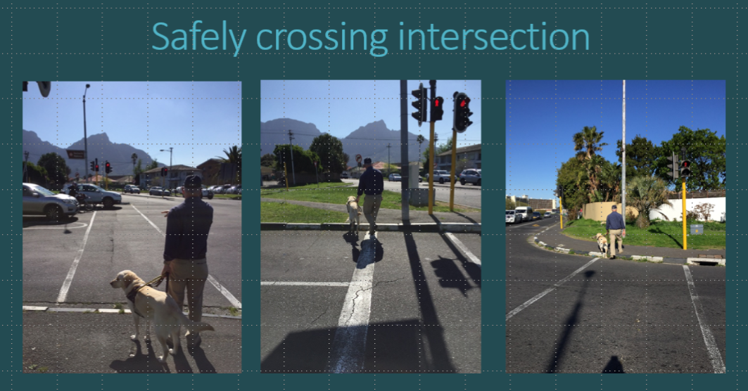 A triptych showing the safe crossing of an intersection, with a Guide Dog